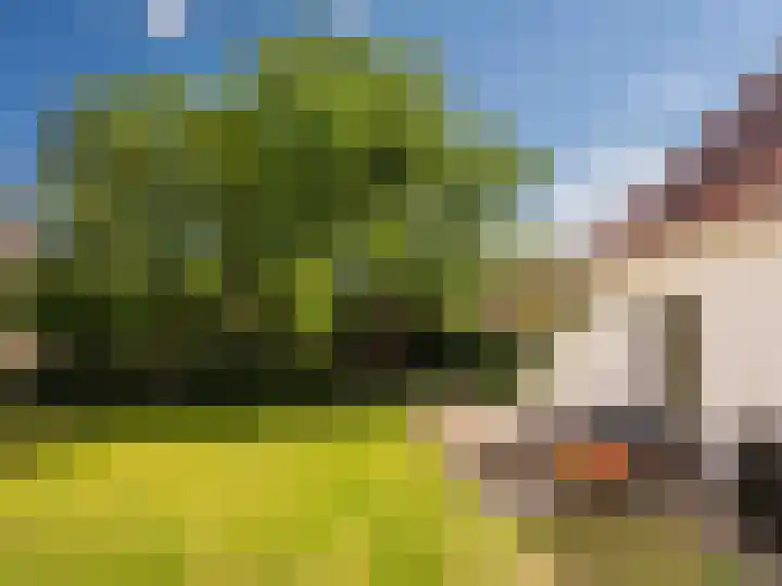 Elzenlaan 30 Bergen aan Zee thumbnail 43