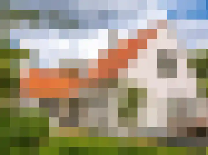 Elzenlaan 30 Bergen aan Zee thumbnail 46