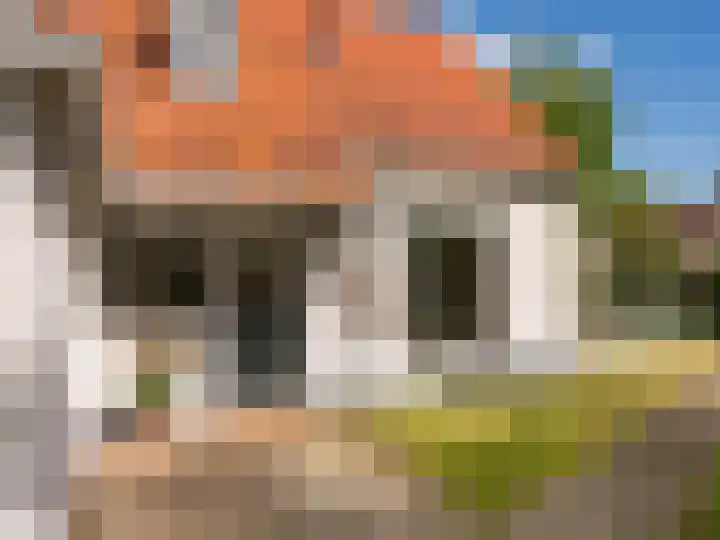 Elzenlaan 30 Bergen aan Zee thumbnail 50