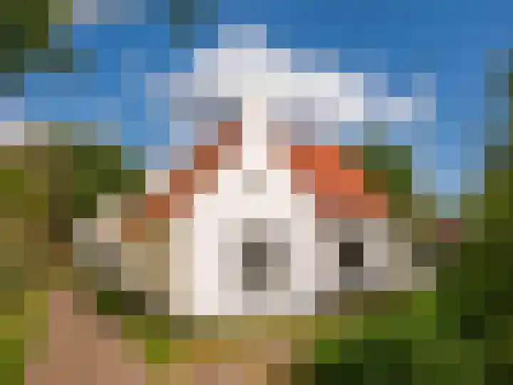 Elzenlaan 30 Bergen aan Zee thumbnail 55