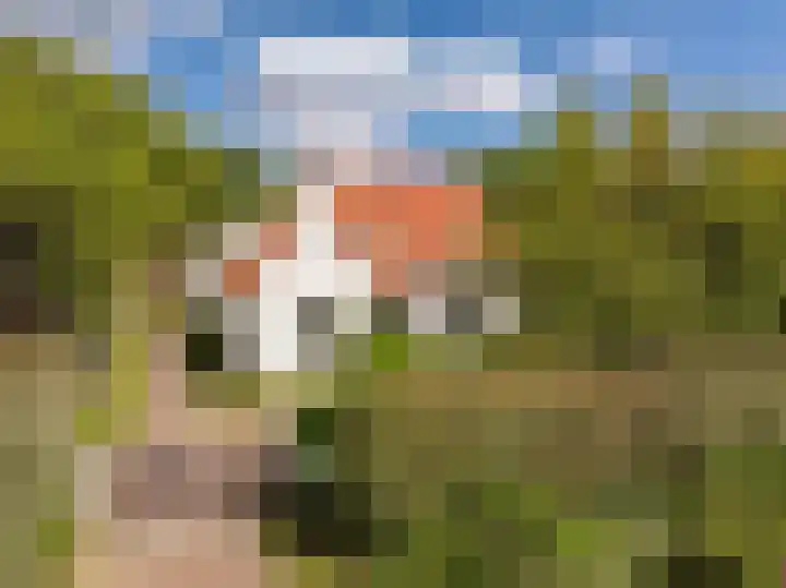 Elzenlaan 30 Bergen aan Zee thumbnail 56
