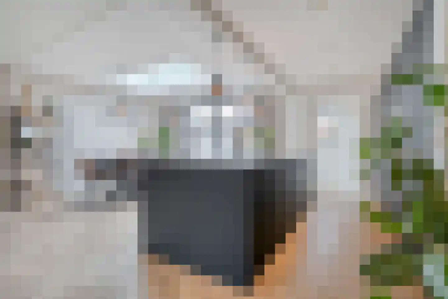 Elzenlaan 31 Zwolle thumbnail 17