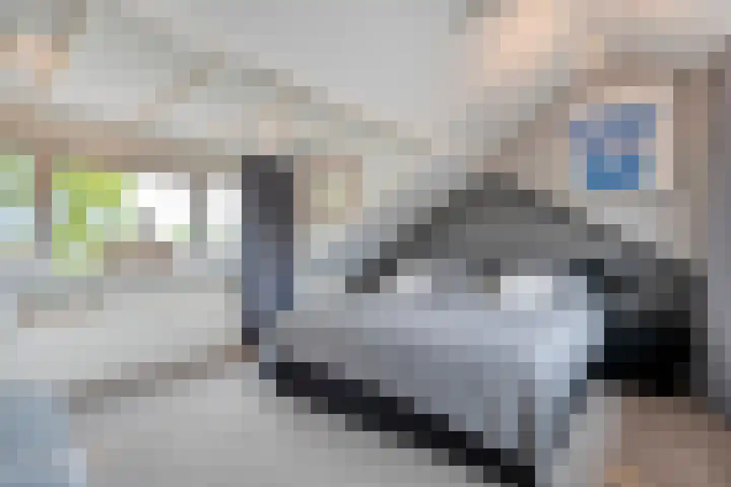 Elzenlaan 31 Zwolle thumbnail 27