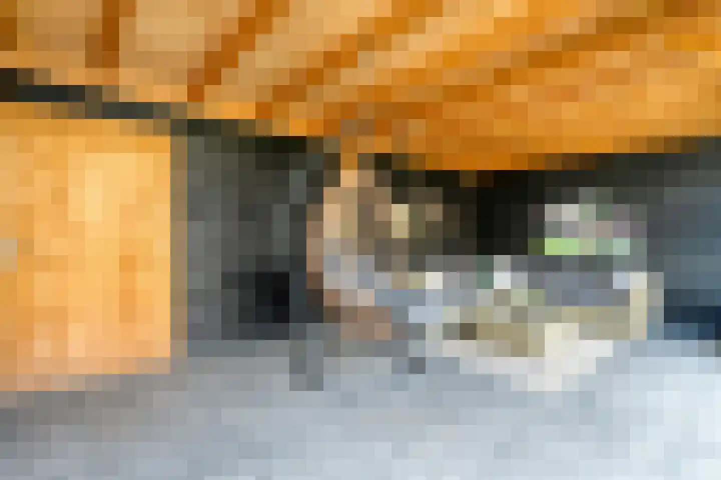 Elzenlaan 31 Zwolle thumbnail 32
