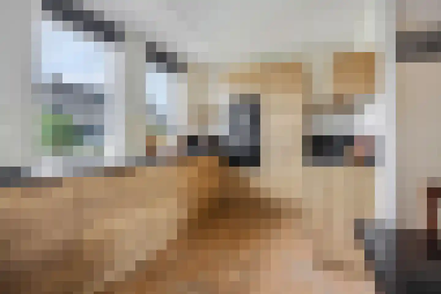 Elzenlaan 33 Hoevelaken thumbnail 11