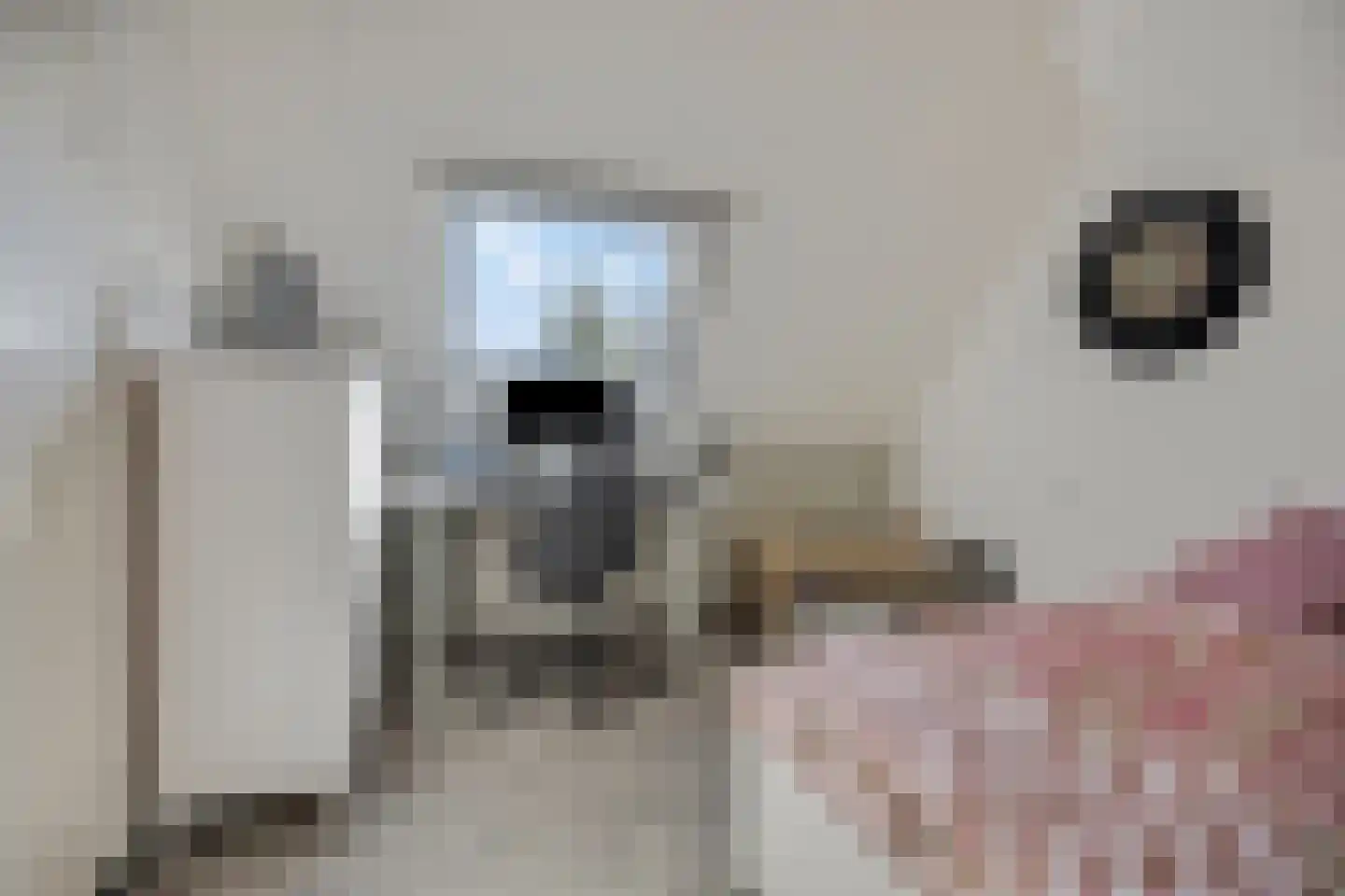 Elzenlaan 33 Hoevelaken thumbnail 32