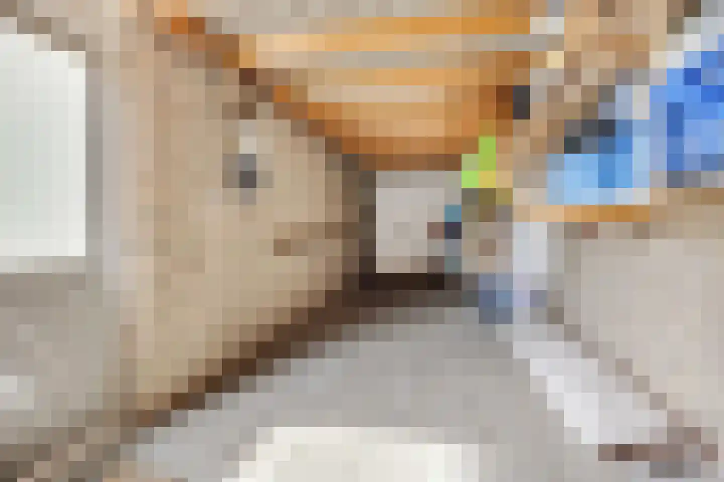 Elzenlaan 33 Hoevelaken thumbnail 35