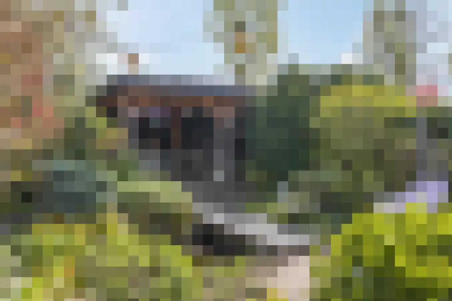 Elzenlaan 33 Hoevelaken thumbnail 38