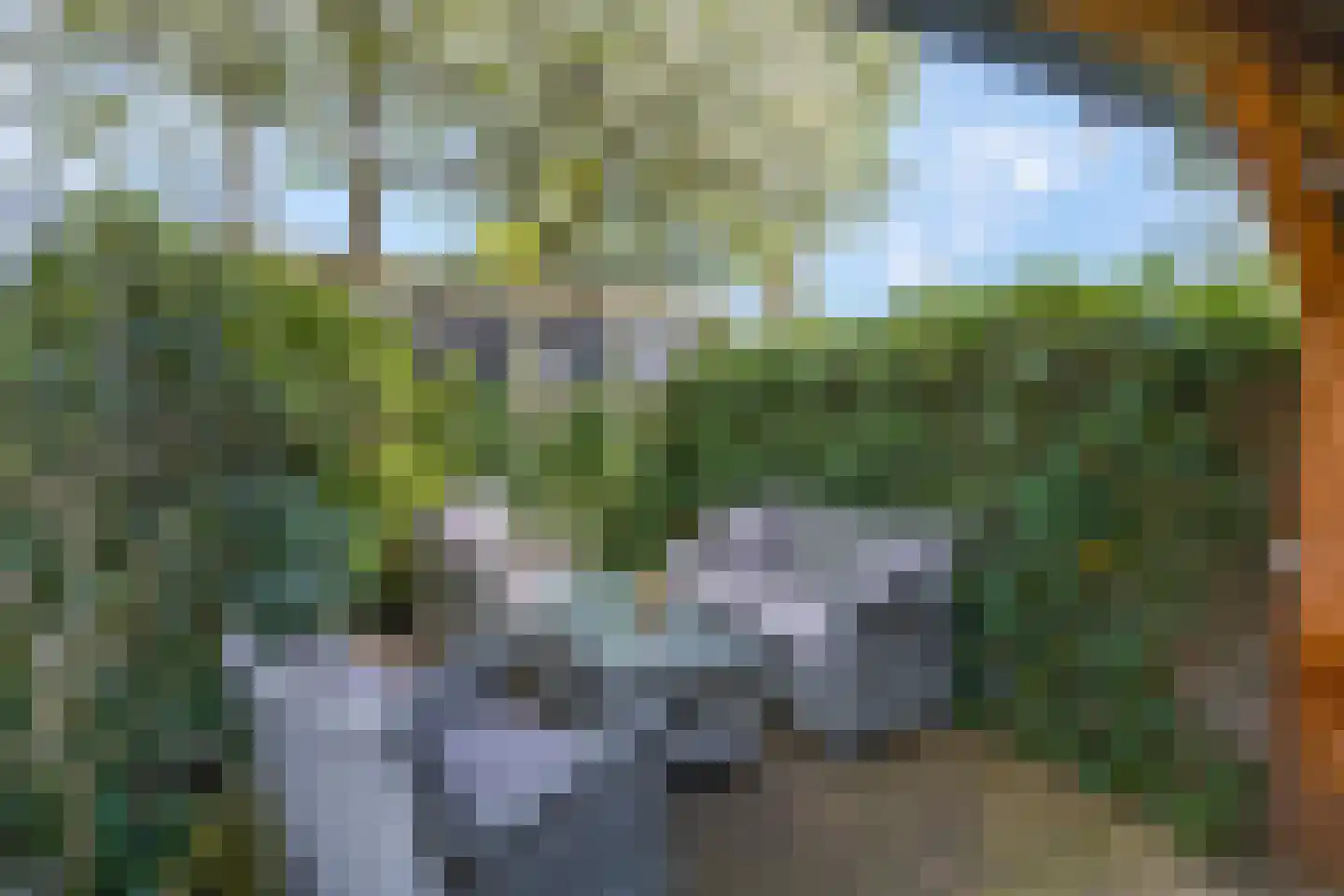 Elzenlaan 33 Hoevelaken thumbnail 39