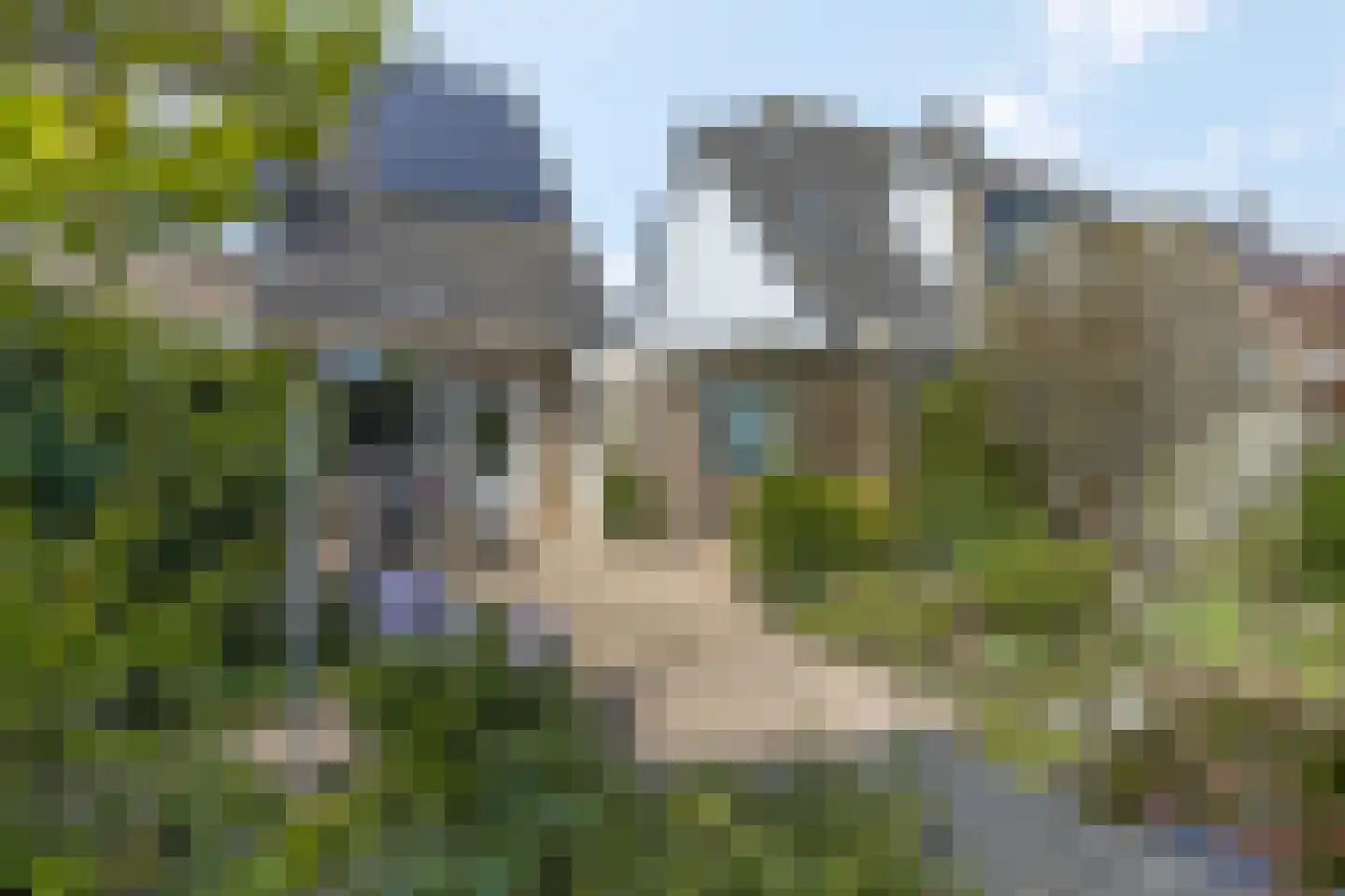 Elzenlaan 33 Hoevelaken thumbnail 42
