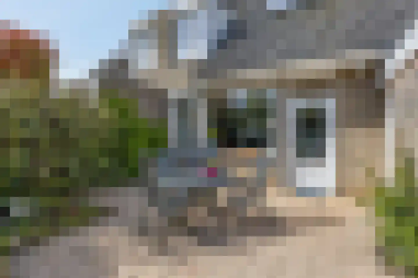 Elzenlaan 33 Hoevelaken thumbnail 43