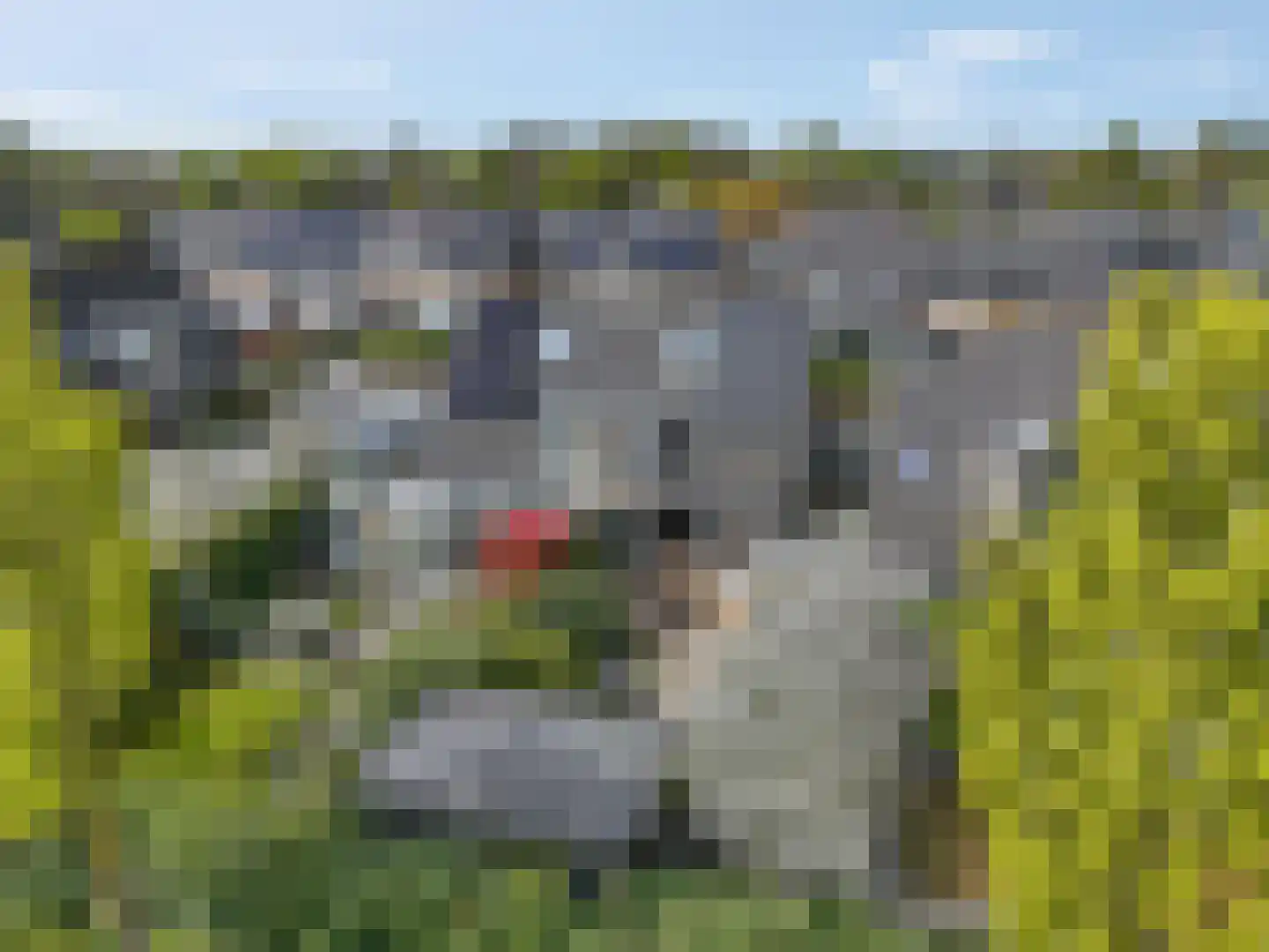 Elzenlaan 33 Hoevelaken thumbnail 44