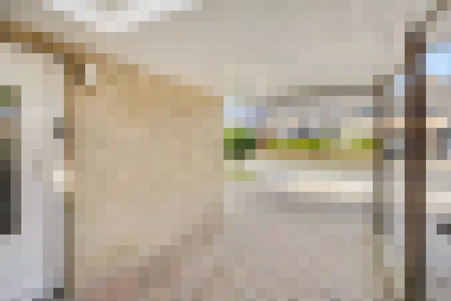 Elzenlaan 33 Hoevelaken thumbnail 46