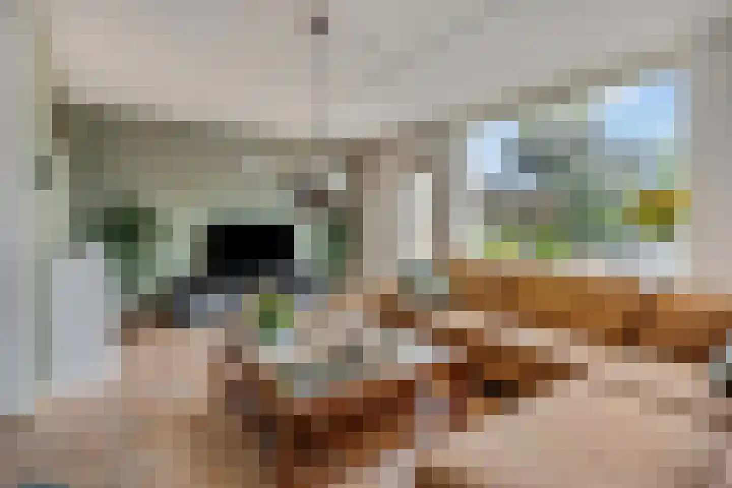 Elzenlaan 33 Hoevelaken thumbnail 5