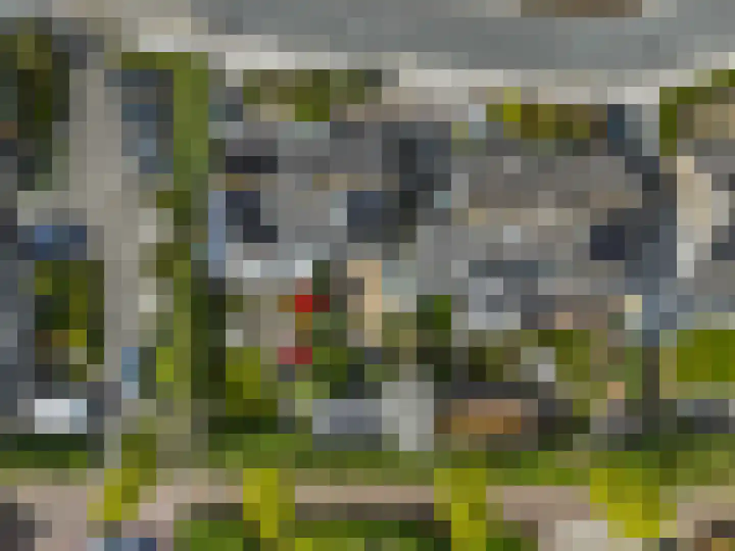 Elzenlaan 33 Hoevelaken thumbnail 52
