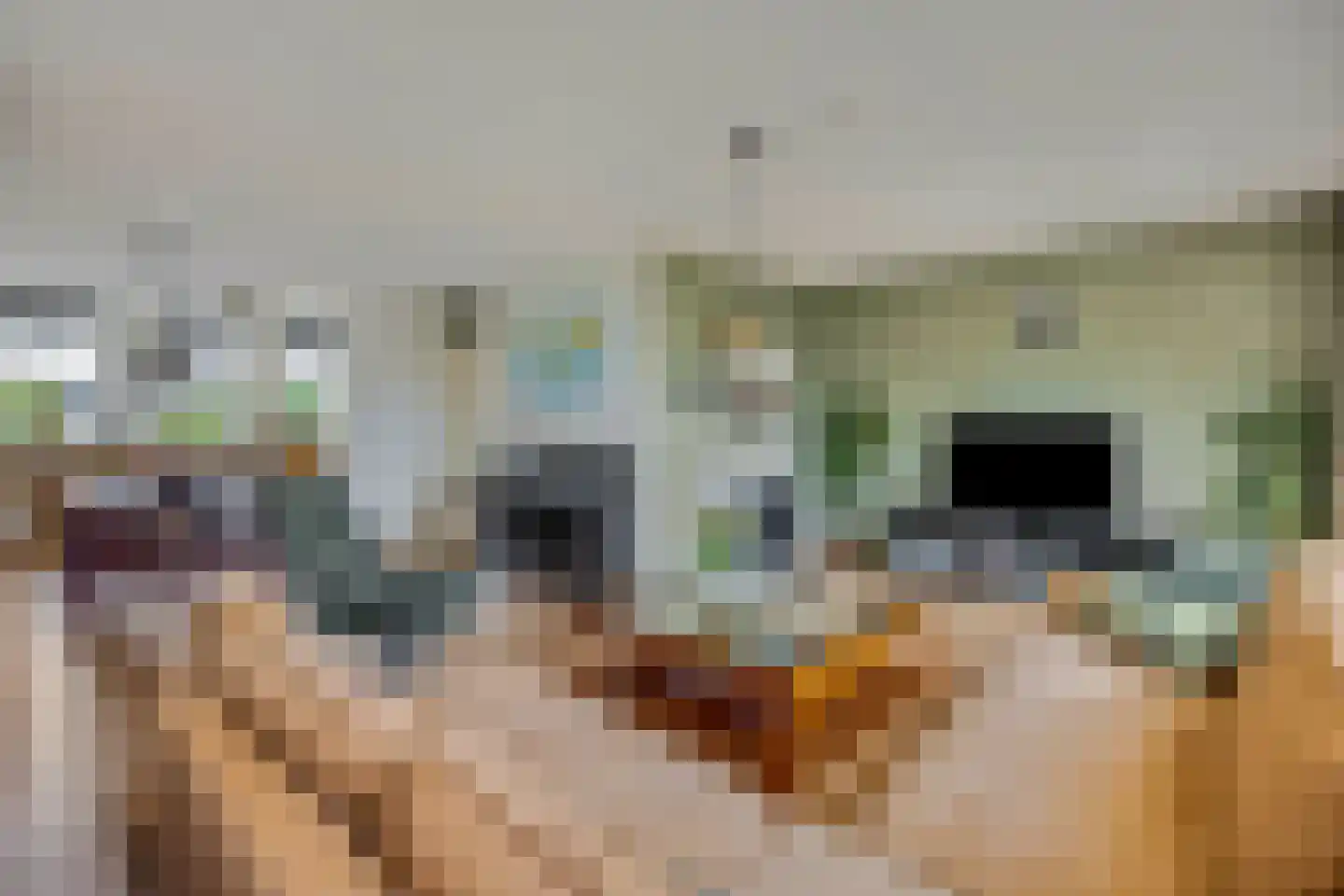 Elzenlaan 33 Hoevelaken thumbnail 7