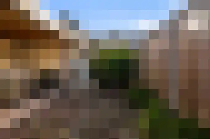Elzenlaan 36 Sint Pancras thumbnail 23