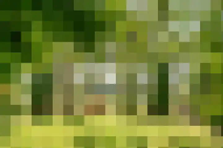 Elzenlaan 4 Zuid-Scharwoude thumbnail 38