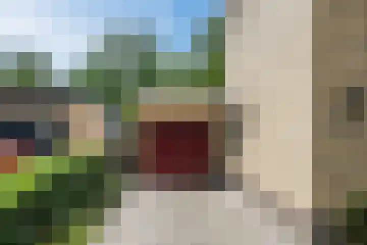Elzenlaan 4 Zuid-Scharwoude thumbnail 4