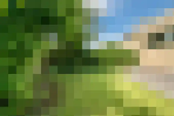 Elzenlaan 4 Zuid-Scharwoude thumbnail 40