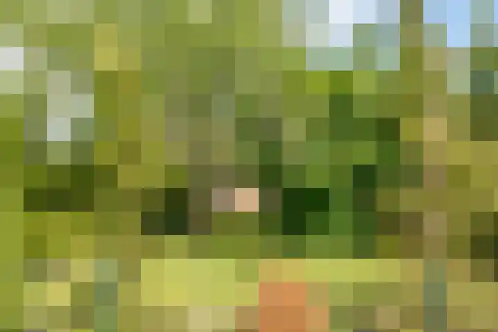 Elzenlaan 4 Zuid-Scharwoude thumbnail 41