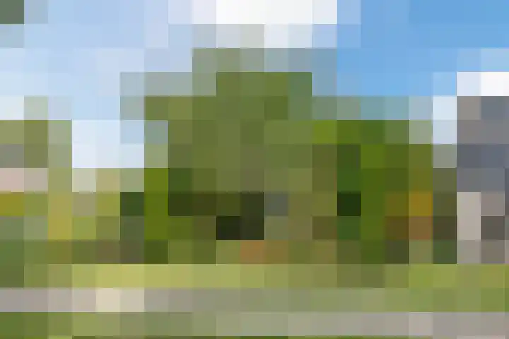 Elzenlaan 4 Zuid-Scharwoude thumbnail 42
