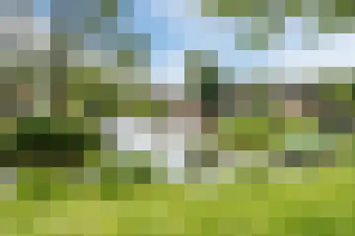 Elzenlaan 4 Zuid-Scharwoude thumbnail 43