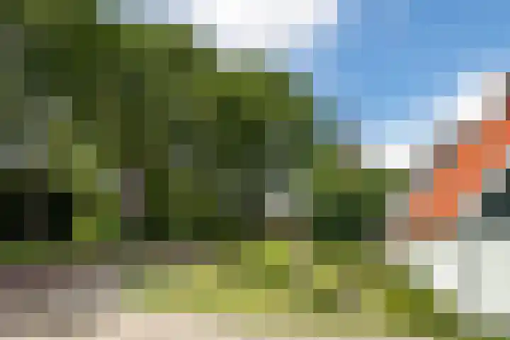 Elzenlaan 4 Zuid-Scharwoude thumbnail 44