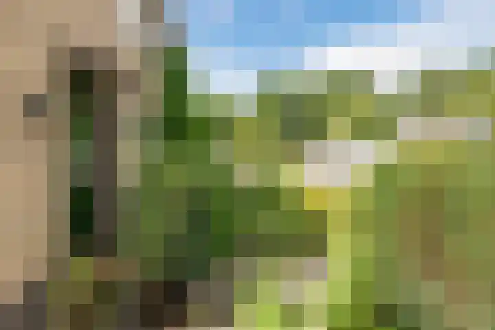 Elzenlaan 4 Zuid-Scharwoude thumbnail 5