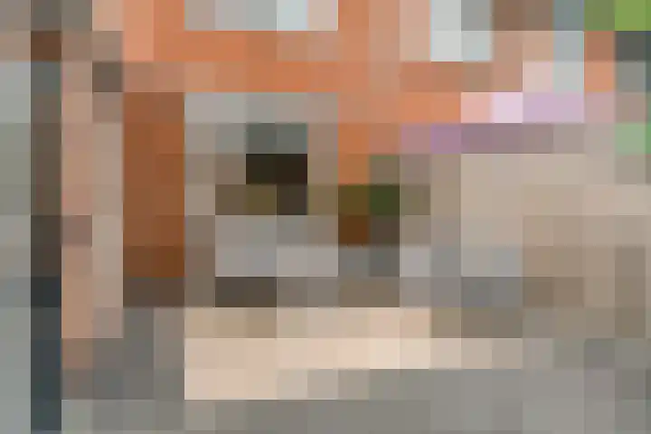 Elzenlaan 40 Grootebroek thumbnail 25