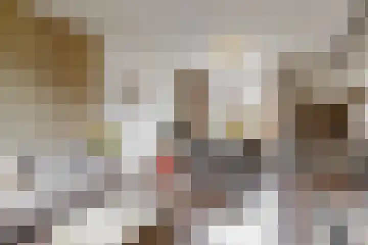 Elzenlaan 40 Grootebroek thumbnail 8
