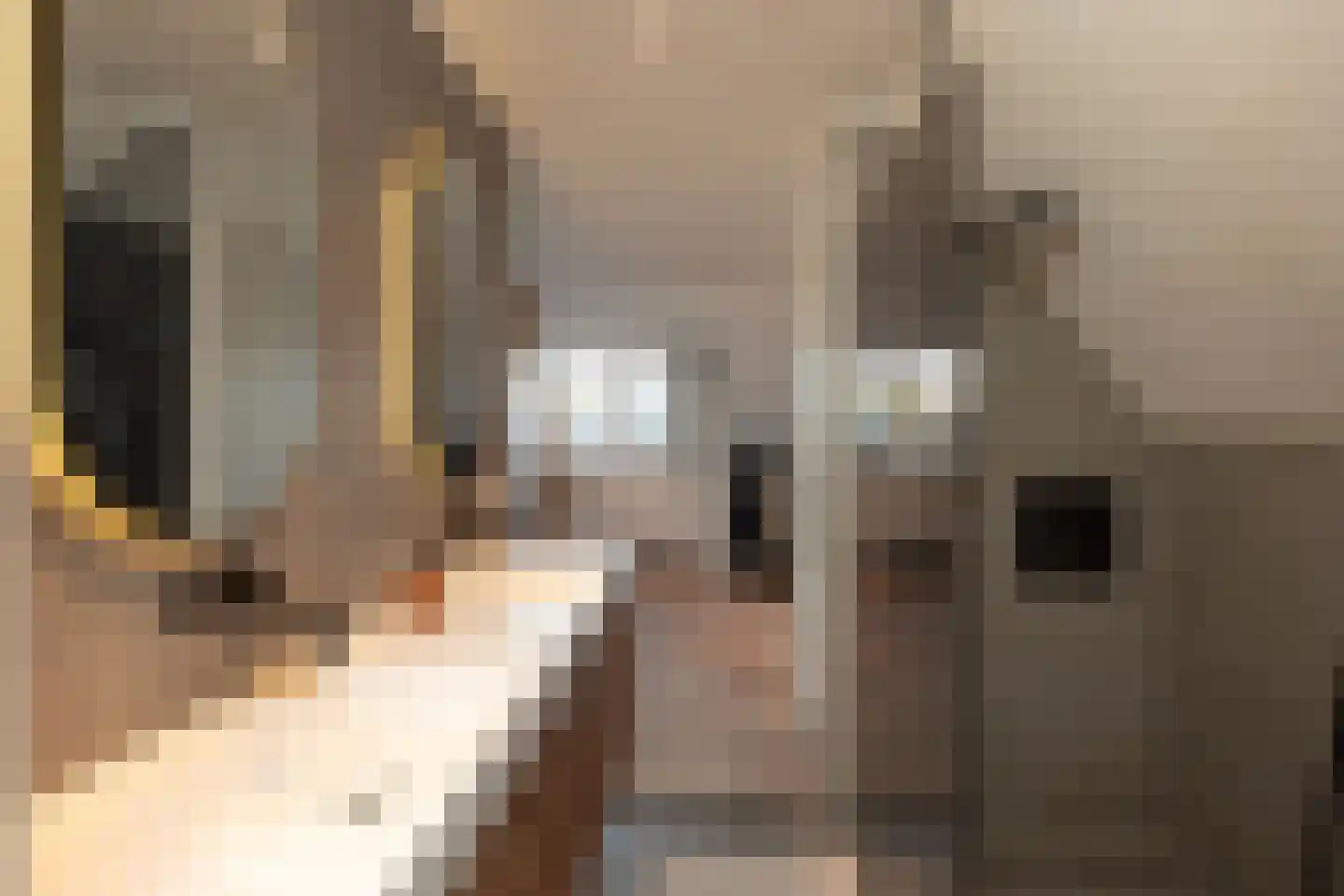 Elzenlaan 42 Hilversum thumbnail 28