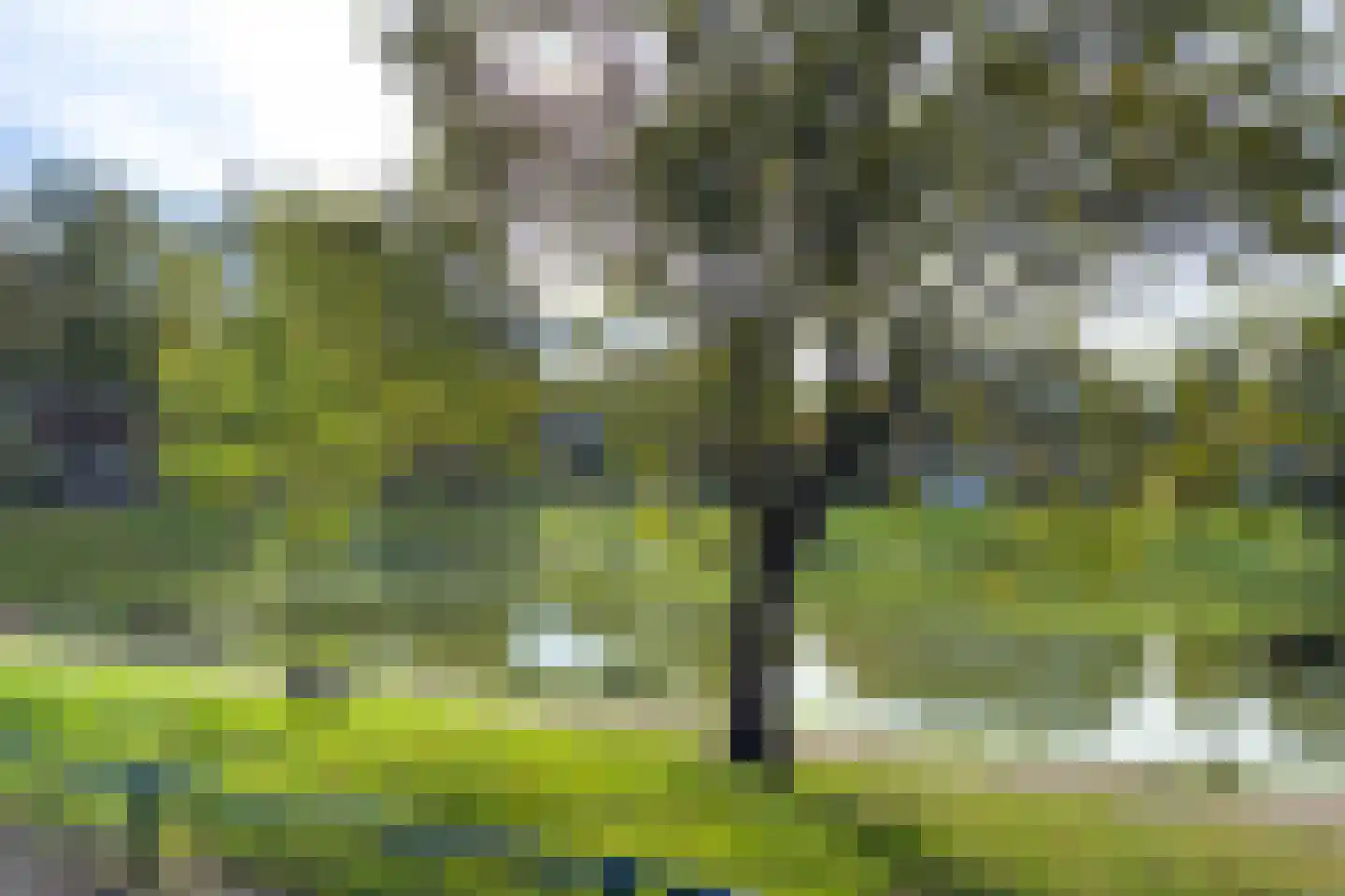 Elzenlaan 42 Hilversum thumbnail 38