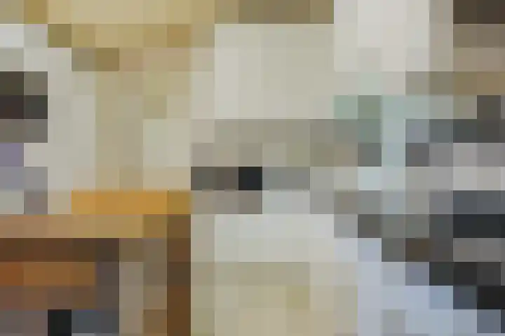 Elzenlaan 53 Hoevelaken thumbnail 12