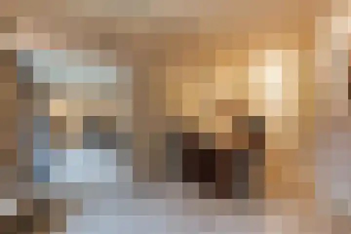 Elzenlaan 53 Hoevelaken thumbnail 22