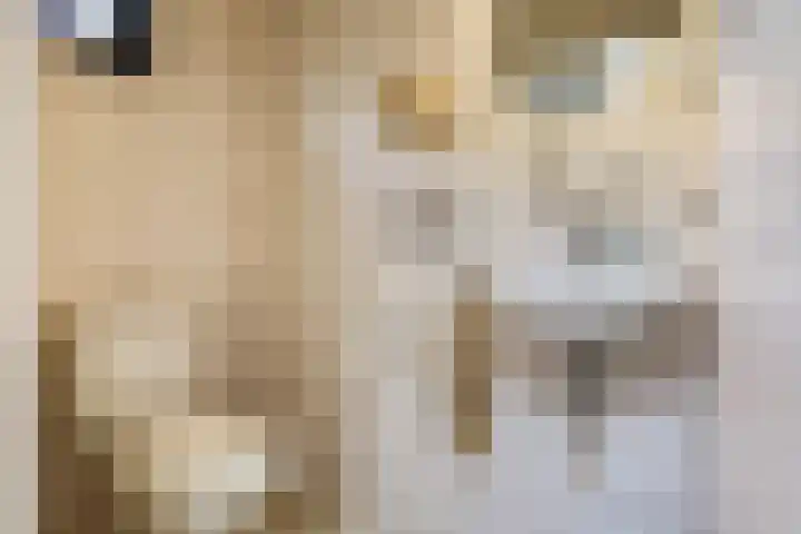 Elzenlaan 53 Hoevelaken thumbnail 27