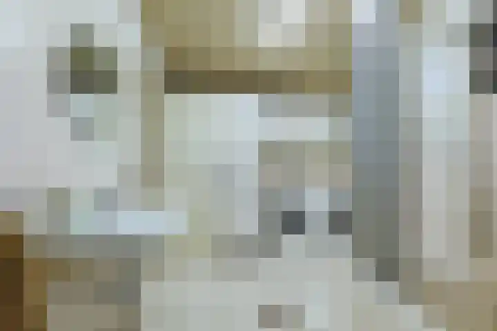 Elzenlaan 53 Hoevelaken thumbnail 29
