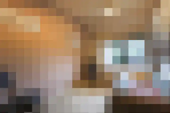 Elzenlaan 53 Hoevelaken thumbnail 34