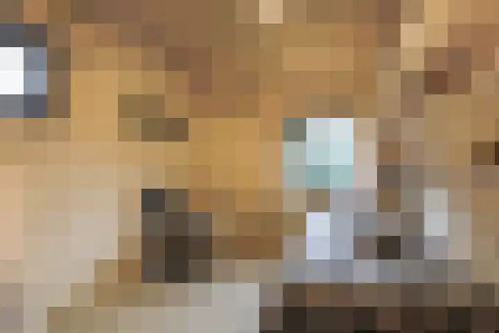 Elzenlaan 53 Hoevelaken thumbnail 35