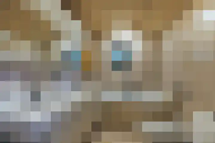 Elzenlaan 53 Hoevelaken thumbnail 38