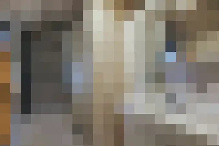 Elzenlaan 53 Hoevelaken thumbnail 39