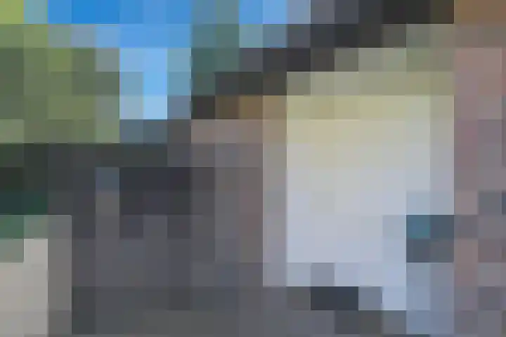 Elzenlaan 53 Hoevelaken thumbnail 44