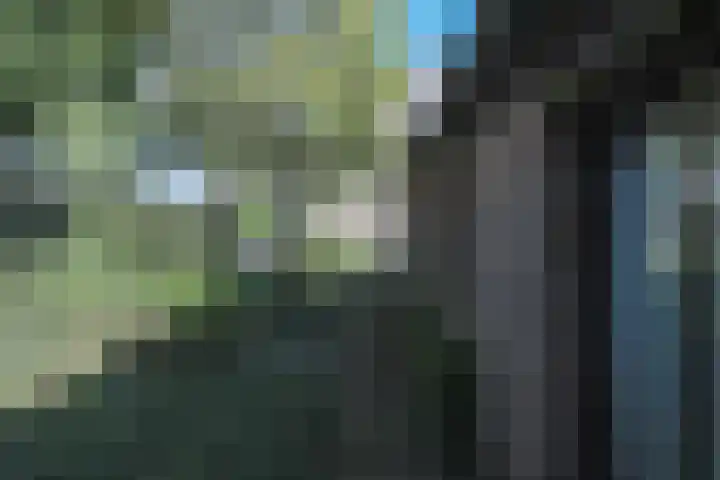 Elzenlaan 53 Hoevelaken thumbnail 45