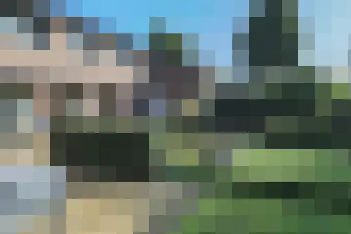 Elzenlaan 53 Hoevelaken thumbnail 47