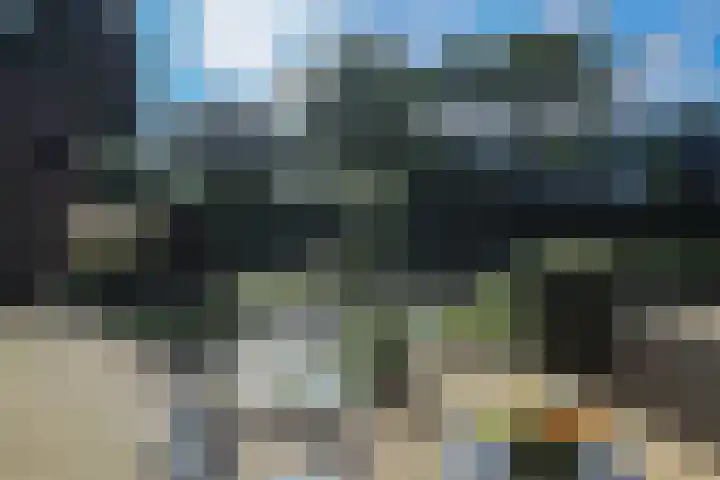 Elzenlaan 53 Hoevelaken thumbnail 48