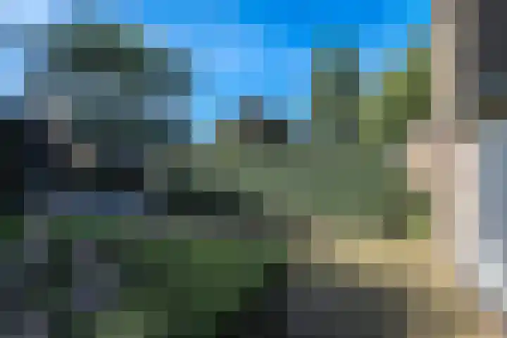 Elzenlaan 53 Hoevelaken thumbnail 53