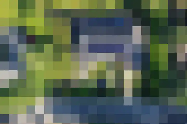 Elzenlaan 53 Hoevelaken thumbnail 57