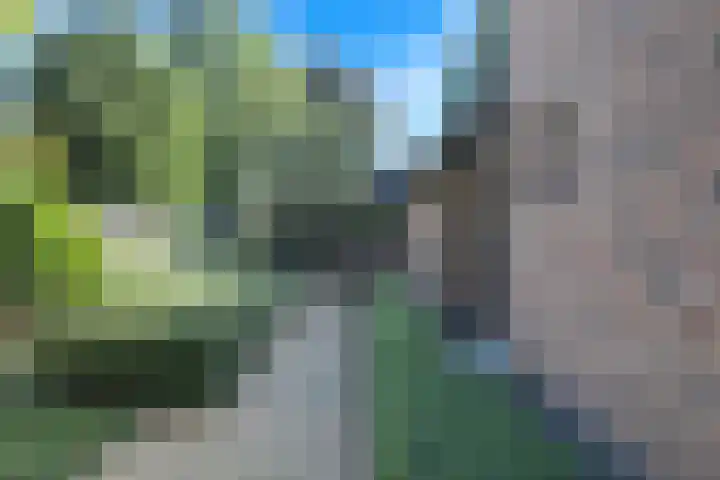 Elzenlaan 53 Hoevelaken thumbnail 59