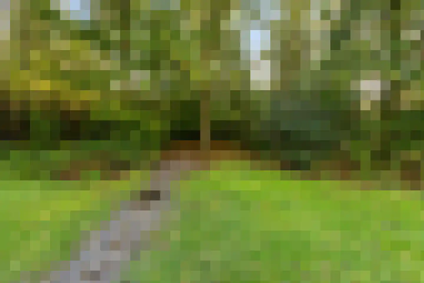 Elzenlaan 56 Hilversum thumbnail 34