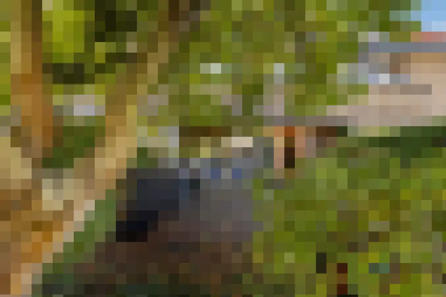 Elzenlaan 56 Hilversum thumbnail 4